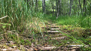 Weg zur Stabkirche Borgund
