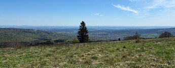 Hohe Hölle - Panoramablick im Biosphärenreservat Rhön