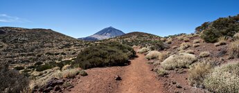 Ausblick auf den Teide auf der Wanderung 20