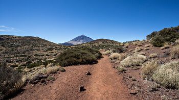 Ausblick auf den Teide auf der Wanderung 20