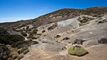 der Wanderweg 20 im Teide Nationalpark