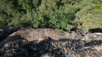 Sandsteinriff der Geiersteine im Wasgau