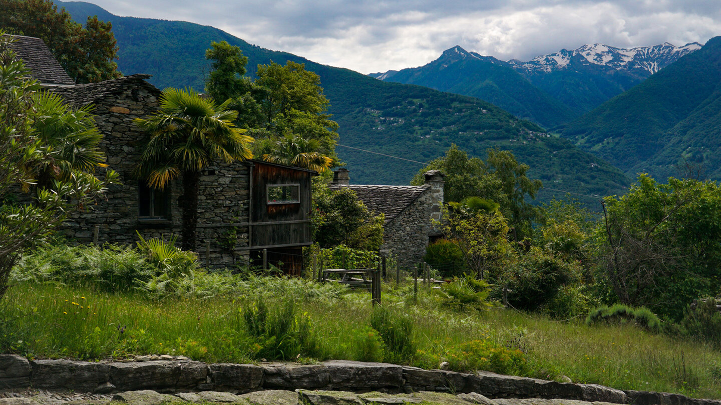 Panoramablick in Curzùtt im Tessin mit Rustico und mediterraner Vegetation Panoramablick in Curzùtt mit Rustico und mediterraner Vegetation