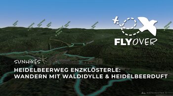 Heidelbeerweg Enzklösterle: Genießerpfad – Flyover