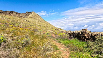 Trockenschichtmauern am Wanderweg zum La Corona