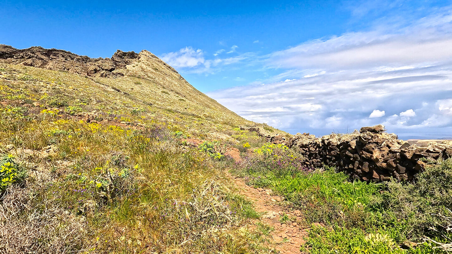 Trockenschichtmauern am Wanderweg zum La Corona