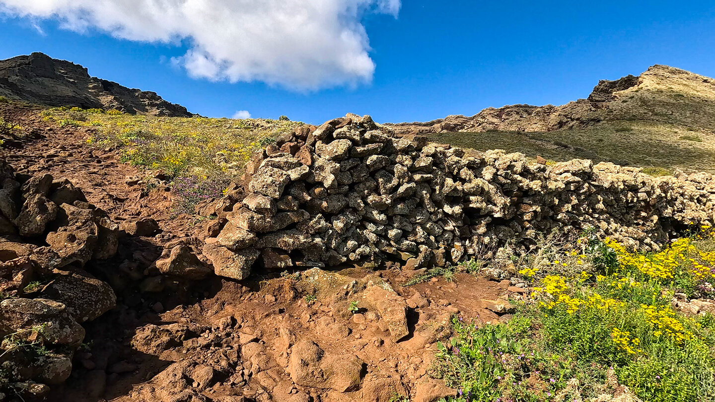 Steinmauern begleiten die Wanderwege am La Corona im Famara-Gebirge