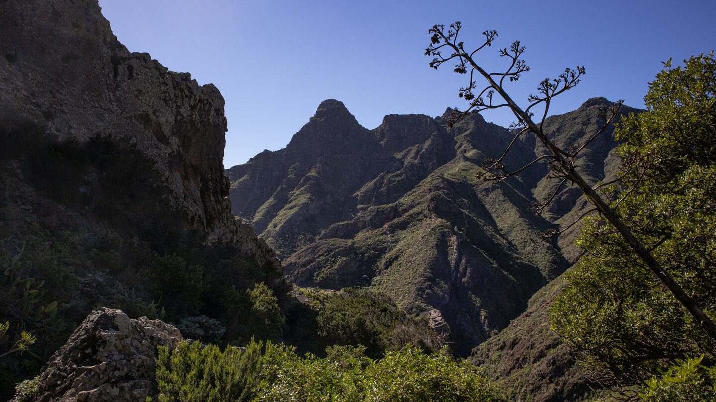 Wanderung über der Schlucht Barranco del Bufadero