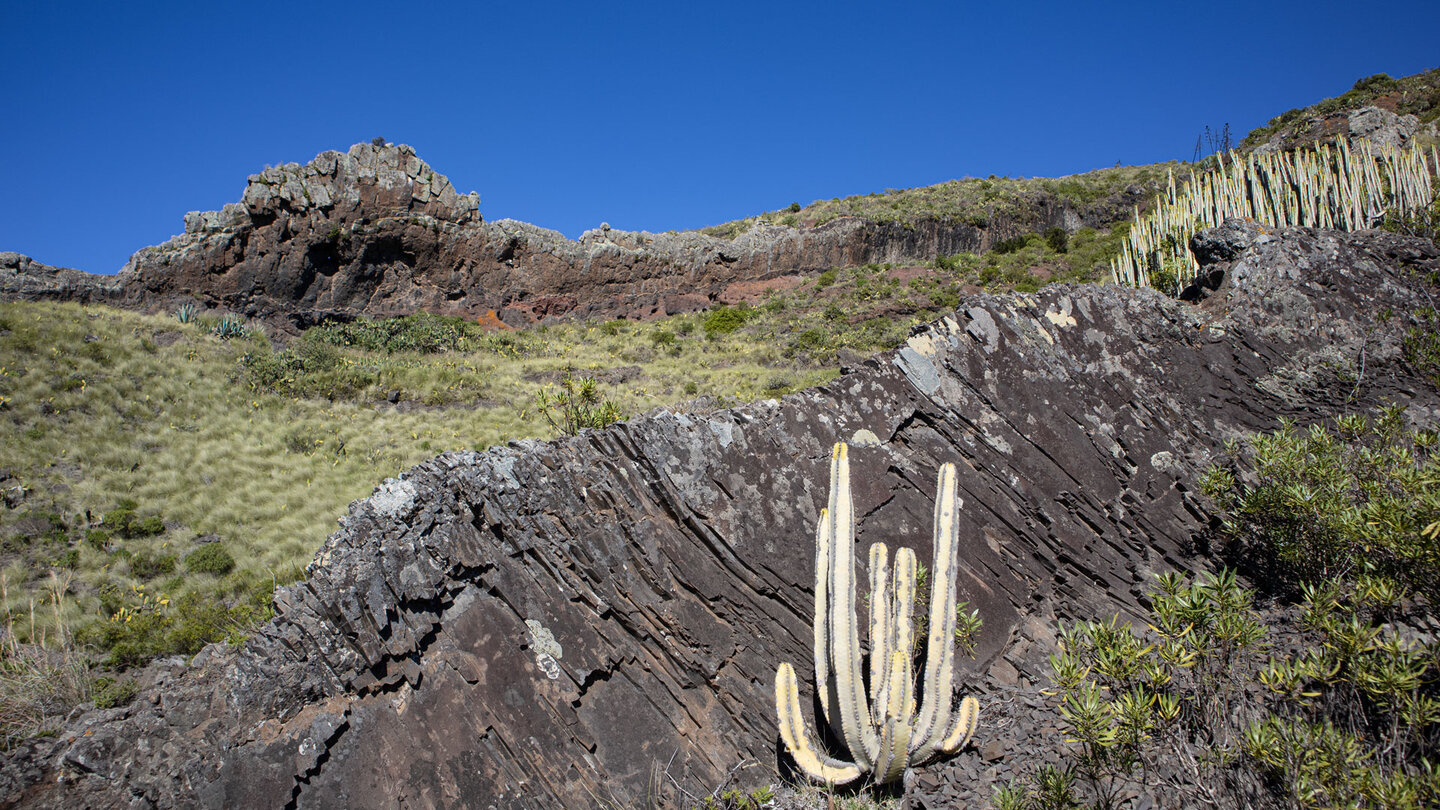 verwitterte Basaltformationen am Wegesrand