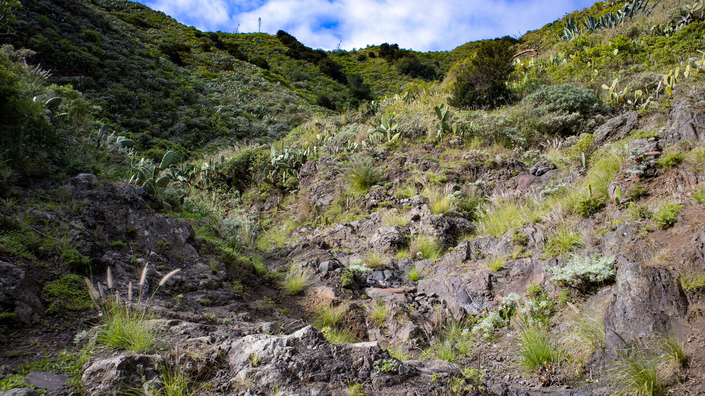 Aufstieg durch die Schlucht Barranco el Hoyo