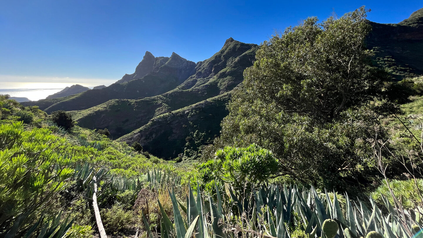 Ausblick von Los Catalanes aufs Meer