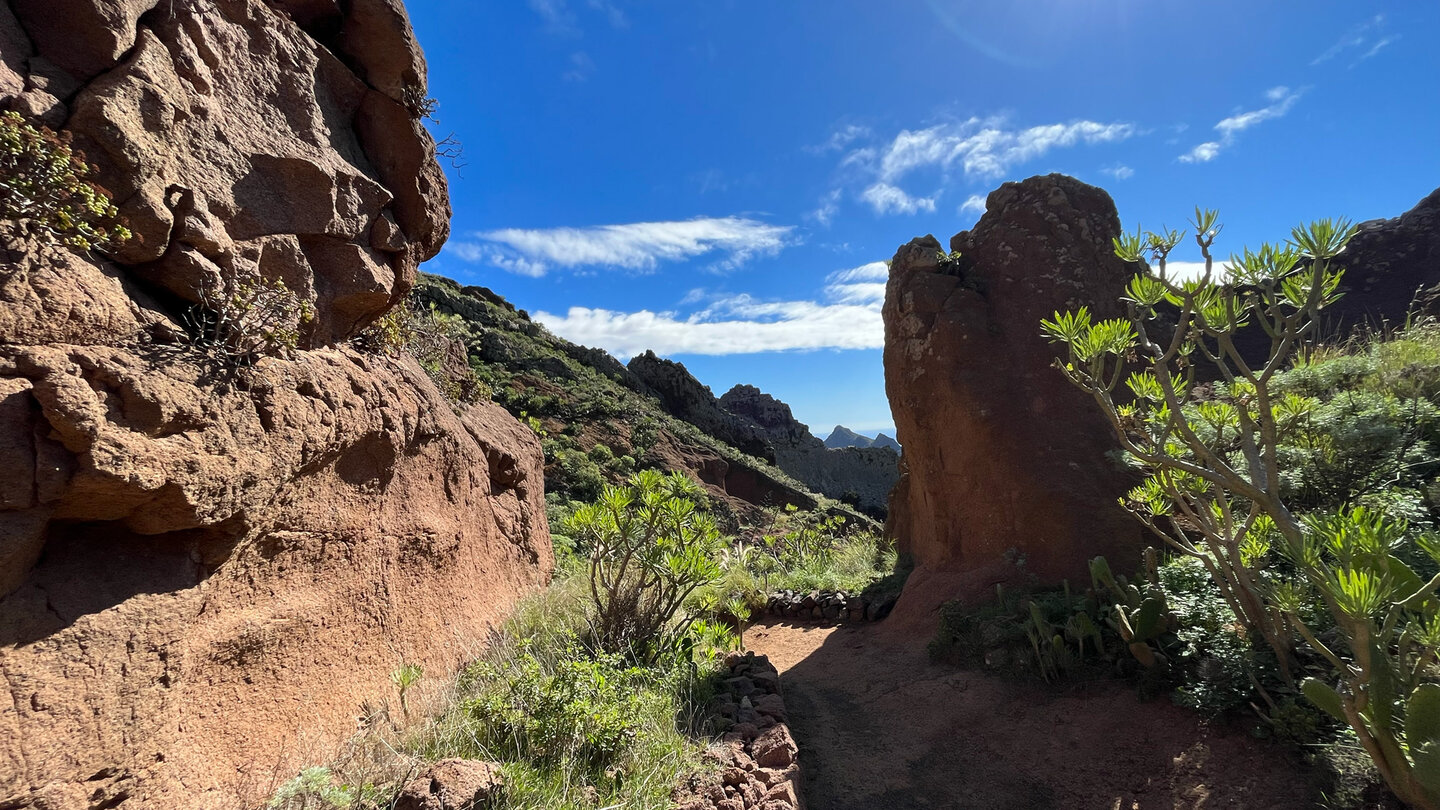 Wanderweg nach Los Catalanes