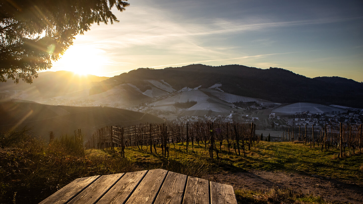 Urbanshöhe am Durbacher Weinpanoramaweg