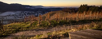 Blick von der Urbanshöhe über die Rheinebene bis zu den Vogesen