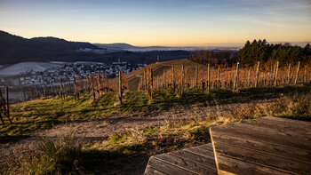 Blick von der Urbanshöhe über die Rheinebene bis zu den Vogesen