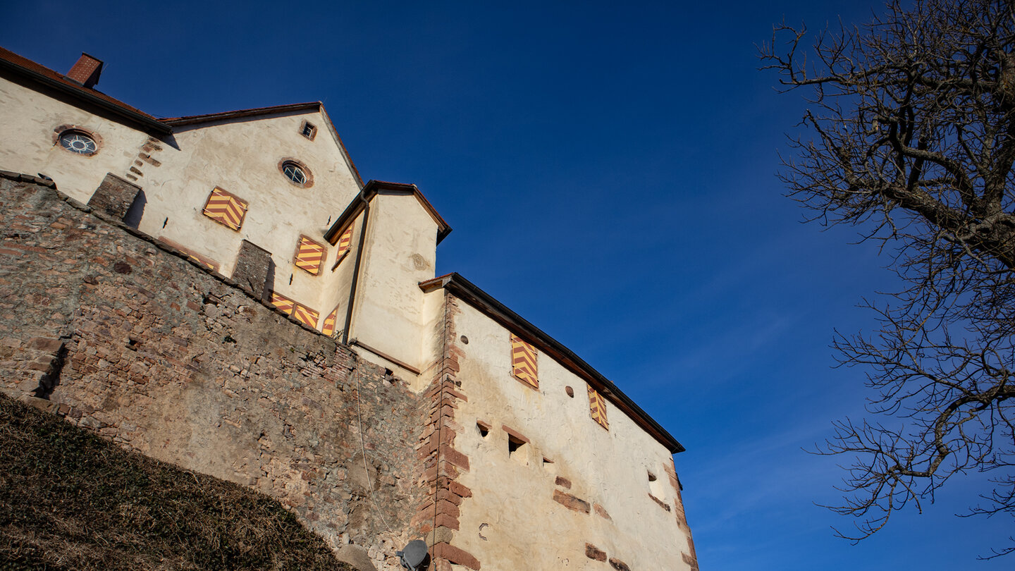 Weingut Schloss Staufenberg hoch über Durbach