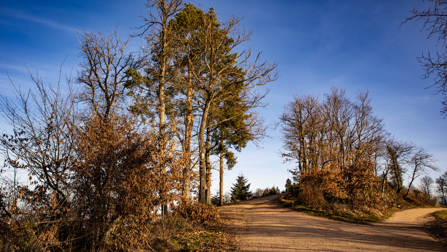 Wanderroute Durbacher Weinpanorama