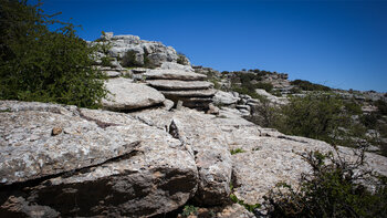 Lapiaz Agrio de Caracol im Torcal de Antequera