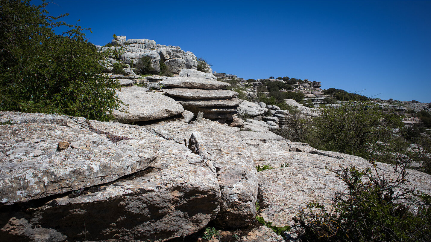Wanderung durch das Gebiet Lapiaz Agrio de Caracol im Naturpark Torcal de Antequera Lapiaz Agrio de Caracol im Torcal de Antequera