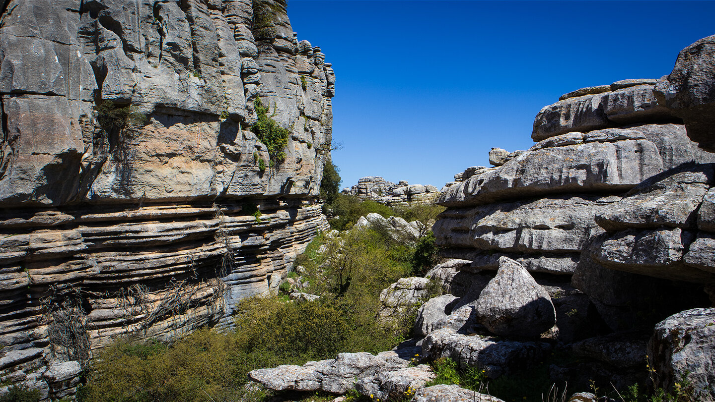 beeindruckende Felsschlucht mit der Felsformation Las Catedrales im Torcal de Antequera Felsschlucht im Torcal de Antequera