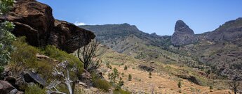 Blick vom Wanderweg auf den Roque de Agando und die Südhänge des Nationalparks