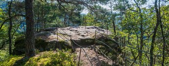 der Krappenfels bei Eppenbrunn