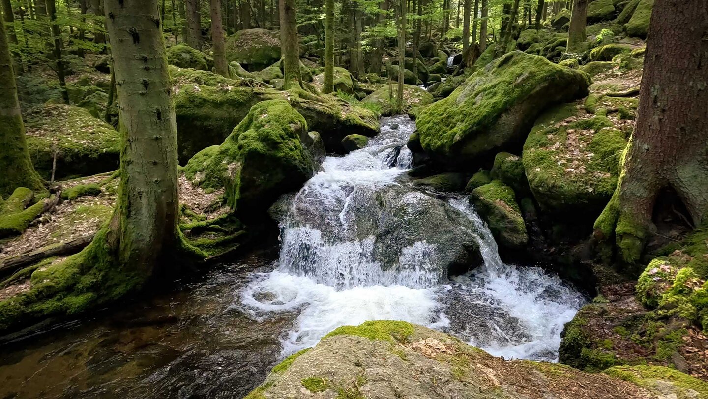 der Gertelbach fließt durch eine bemooste Waldschlucht der Gertelbach fließt durch eine bemooste Waldschlucht