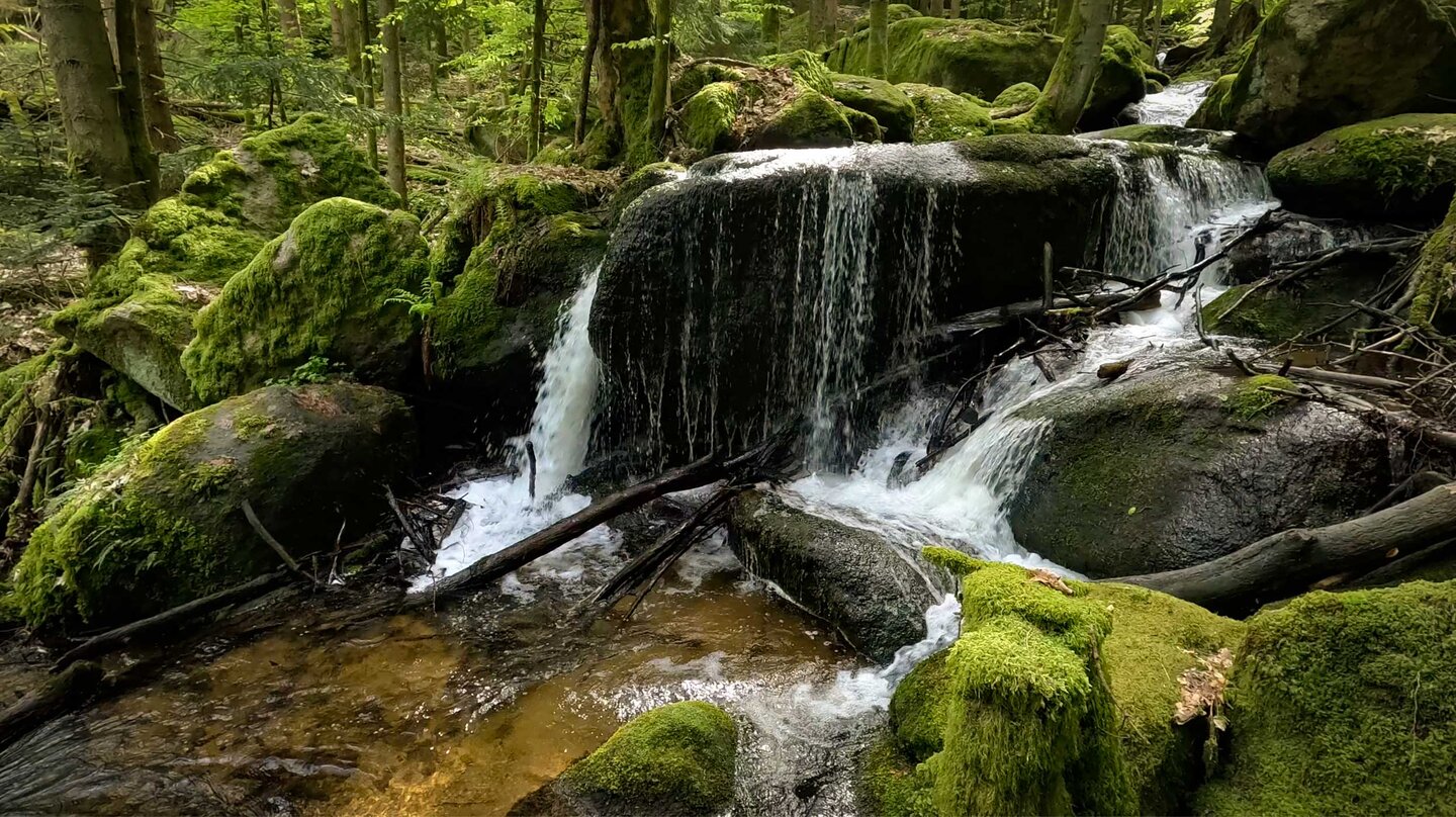 Wanderweg entlang des Gertelbach zwischen gewaltigen Findlingen Wanderweg entlang des Gertelbach zwischen gewaltigen Findlingen
