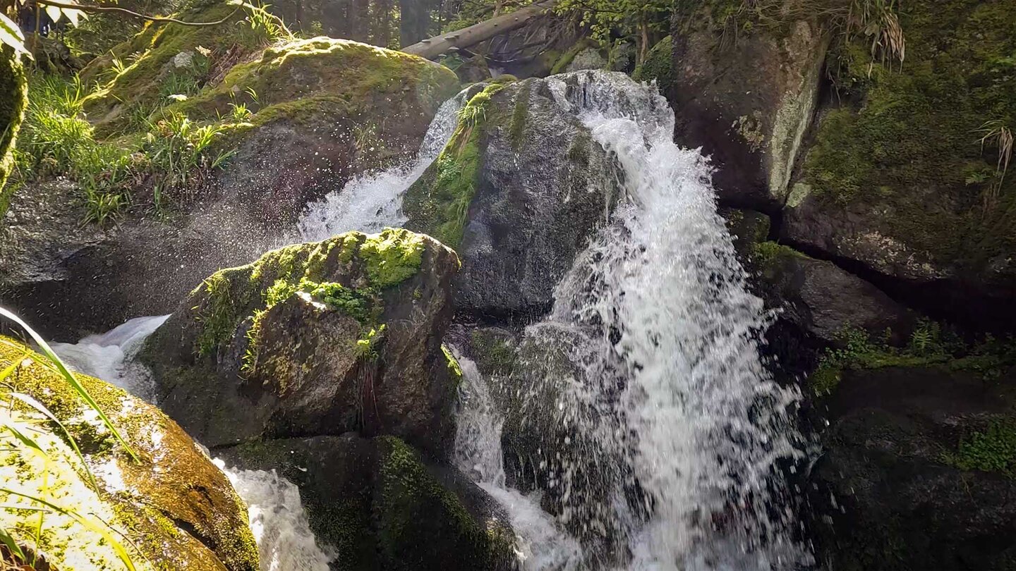 der Gertelbach stürzt über Felsen ins Bühlertal der Gertelbach stürzt über Felsen ins Bühlertal
