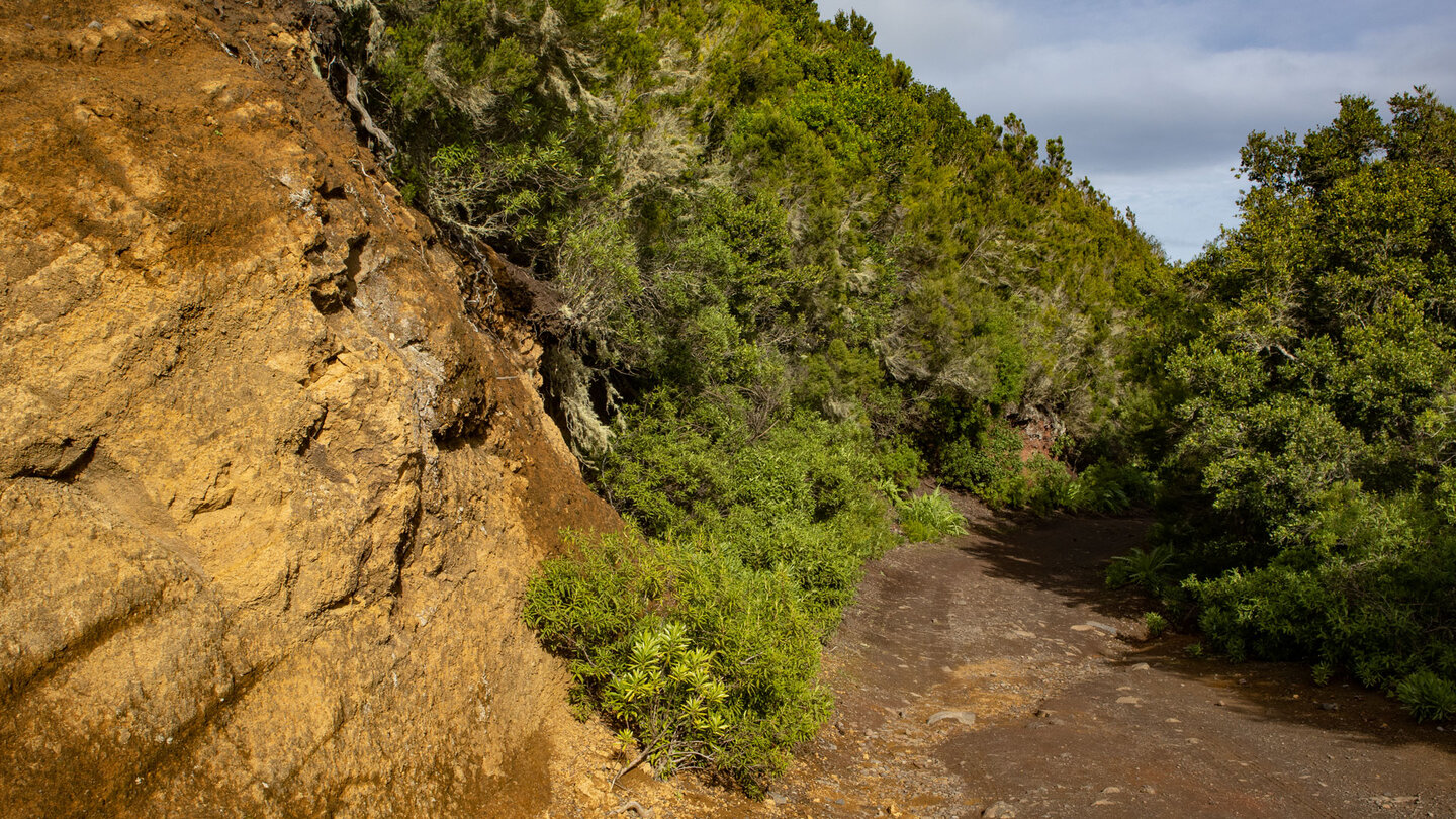 Wanderweg entlang der Pista Monte del Agua