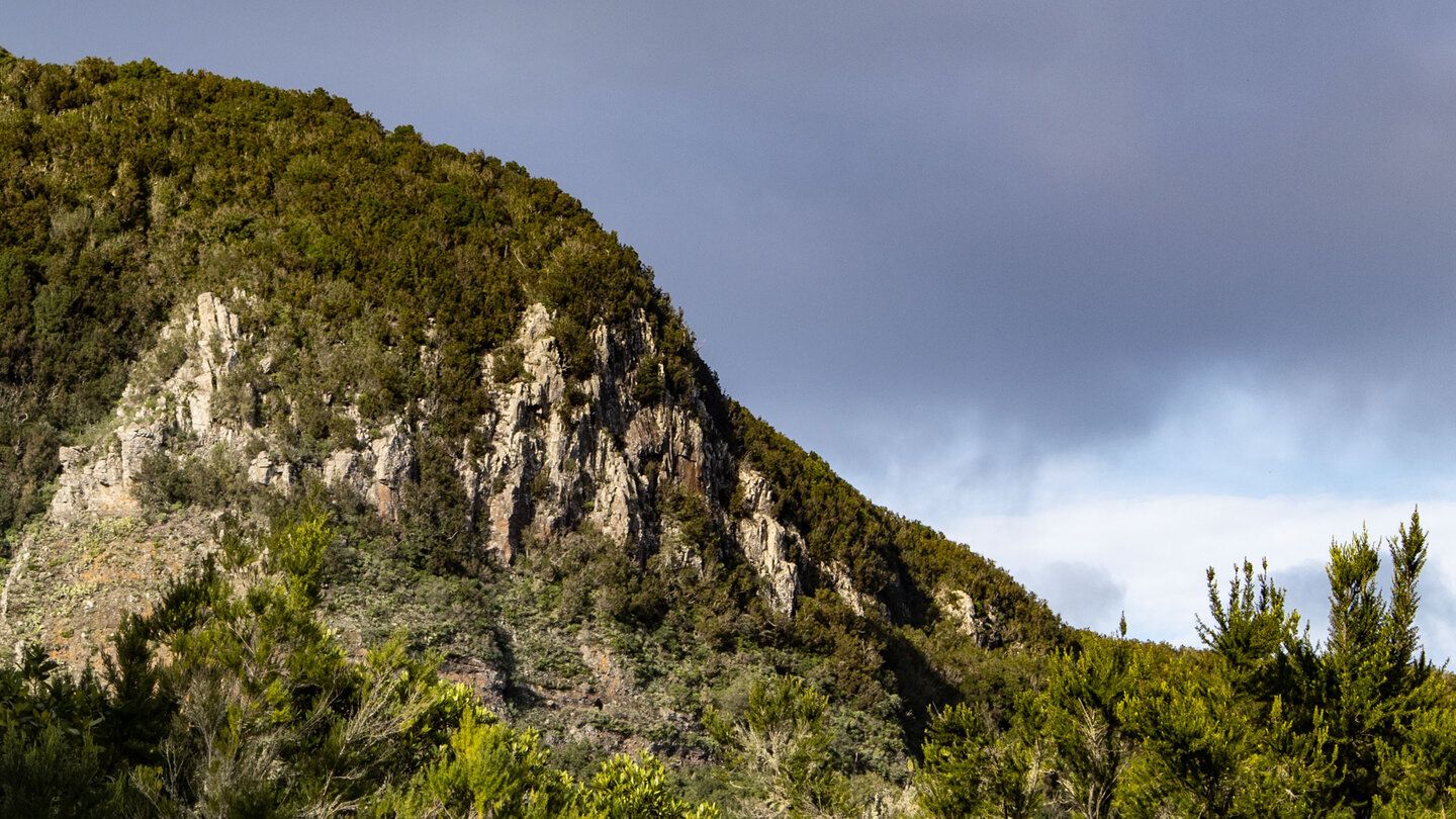 Blick auf Felsformationen während der Wanderung im Lorbeerwald