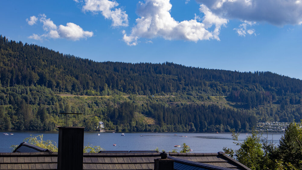 Ausblick auf den Titisee