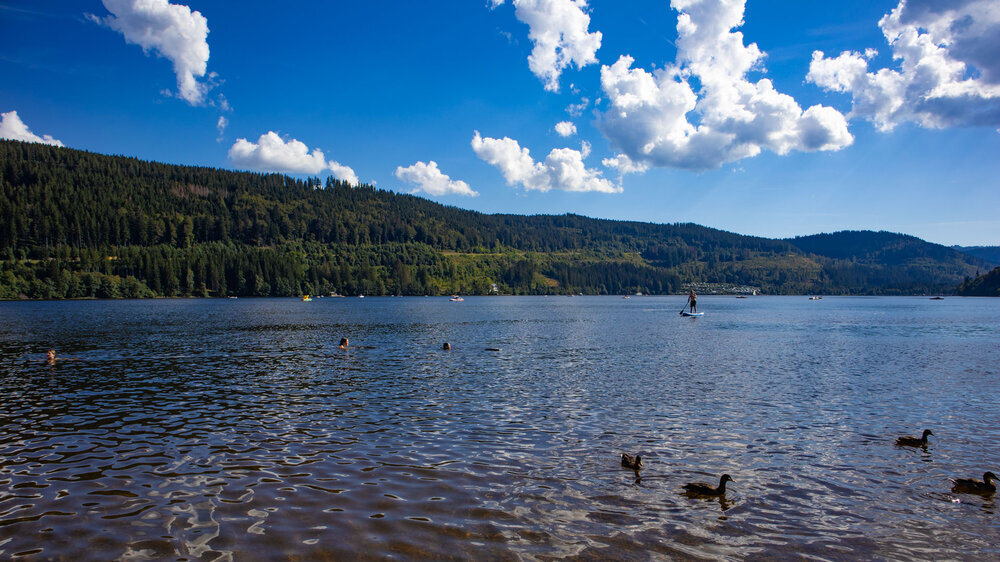 Der Westweg verläuft direkt am Badestrand des Titisee Der Westweg verläuft direkt am Badestrand des Titisee