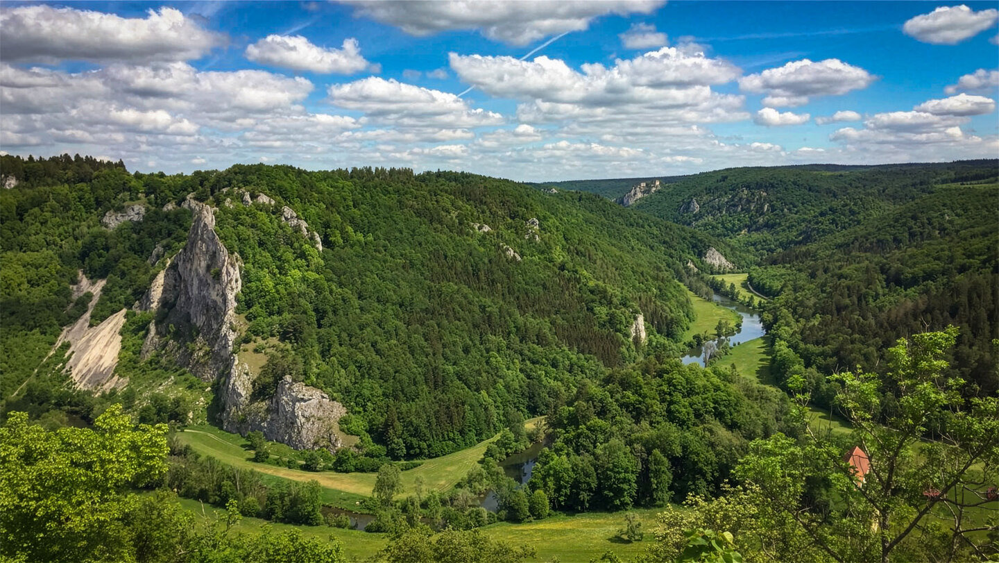 Felsnadeln und Flussschleife im Donautal von der Ruine Kallenberg aus