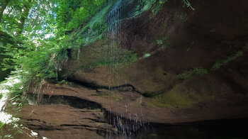 Wasserfall an der Bärenhöhle am Rodalber Felsenwanderweg