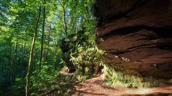 Buntsandsteinfelsen der Bärenfelshöhle bei Rodalben