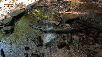 Wasserbecken in der Bärenhöhle bei Rodalben