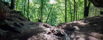 Bachlauf der Bärenfelsquelle in der oberen Bärenhöhle bei Rodalben