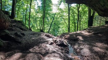 Bachlauf der Bärenfelsquelle in der oberen Bärenhöhle bei Rodalben