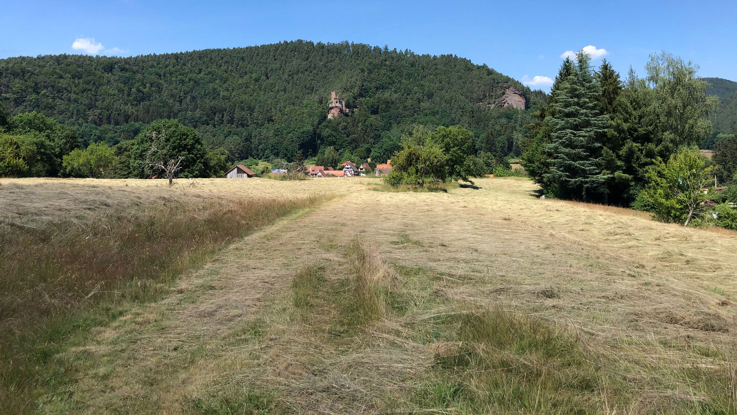 Wanderung über Wiesen bei Obersteinbach