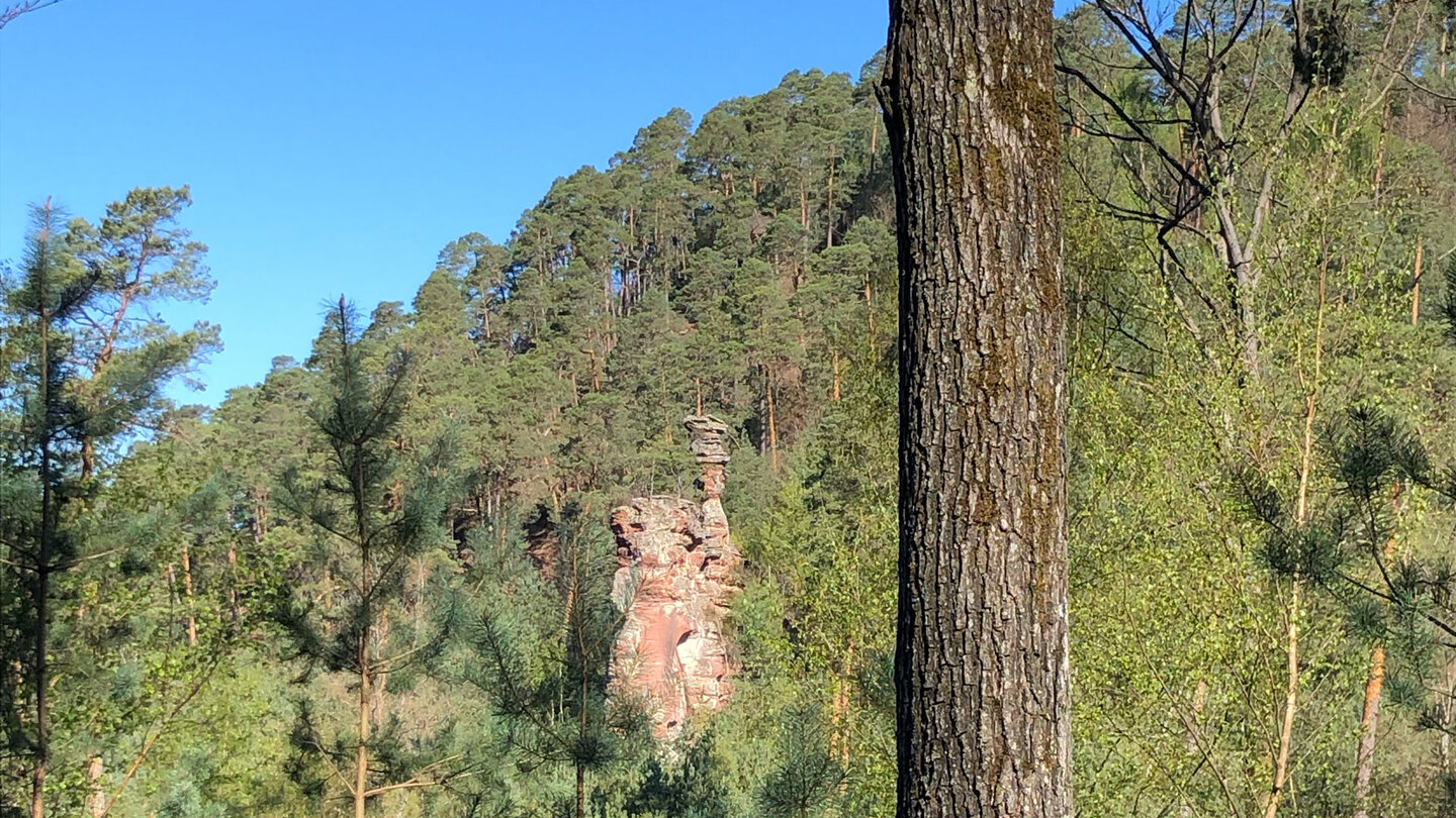 der Gabelfels vom Wanderweg zum Col de Wittschloessel