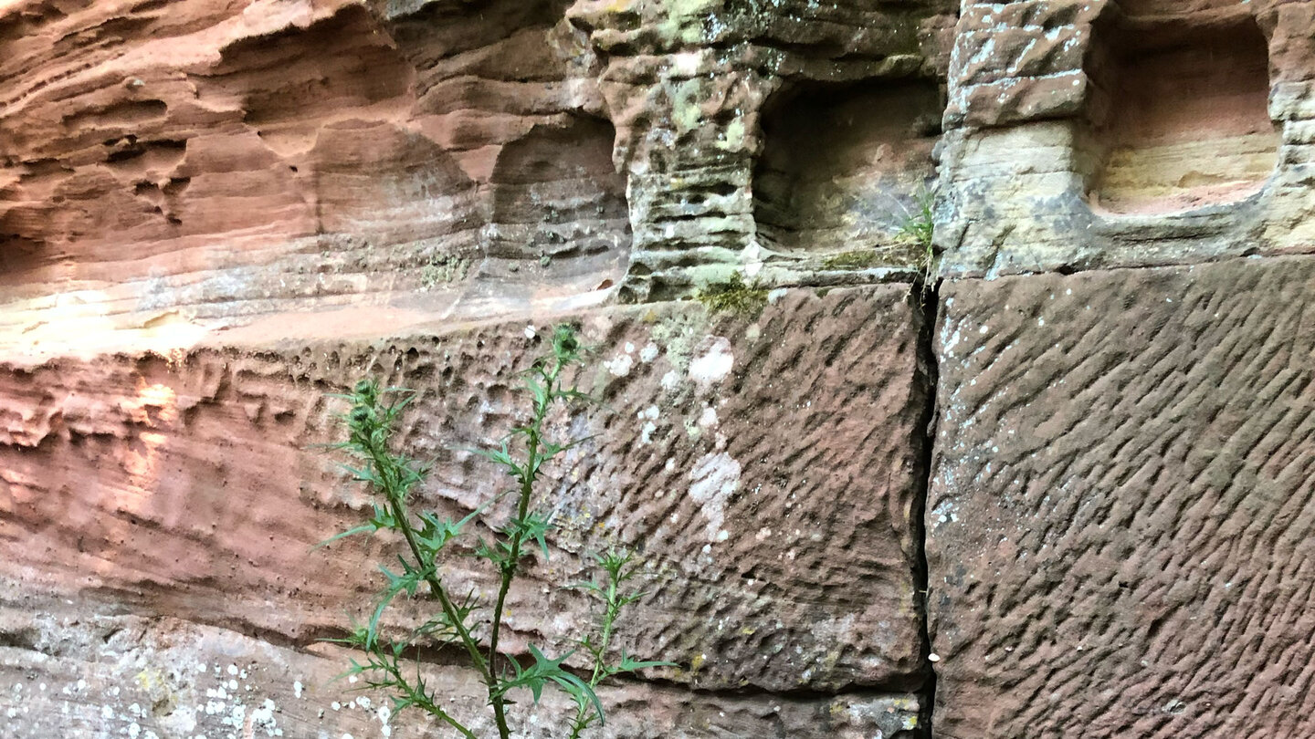 Bearbeitungsspuren am Burgfels des Wittschloessel