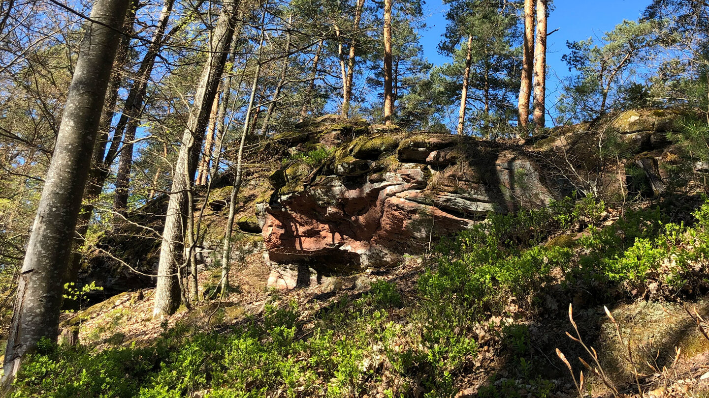 Wanderweg über einen malerischen Höhenrücken zur Ruine Wineck
