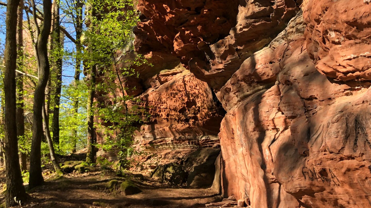 Blick entlang prachtvoller Sandsteinformationen zum Turm der Ruine Wineck