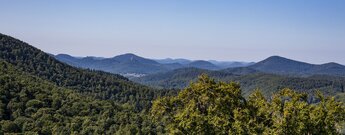 Panorama von der Burg Meistersel über den Pfälzerwald mit der Trifelsgruppe