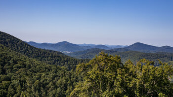 Panorama von der Burg Meistersel über den Pfälzerwald mit der Trifelsgruppe