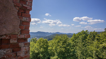 Ausblick über den Pfälzerwald von der Burg Ramburg