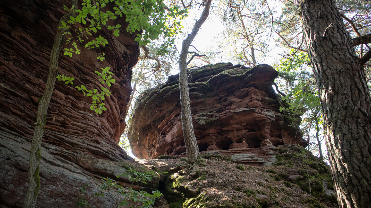Die Sprinzelfelsen am Dickenberg.