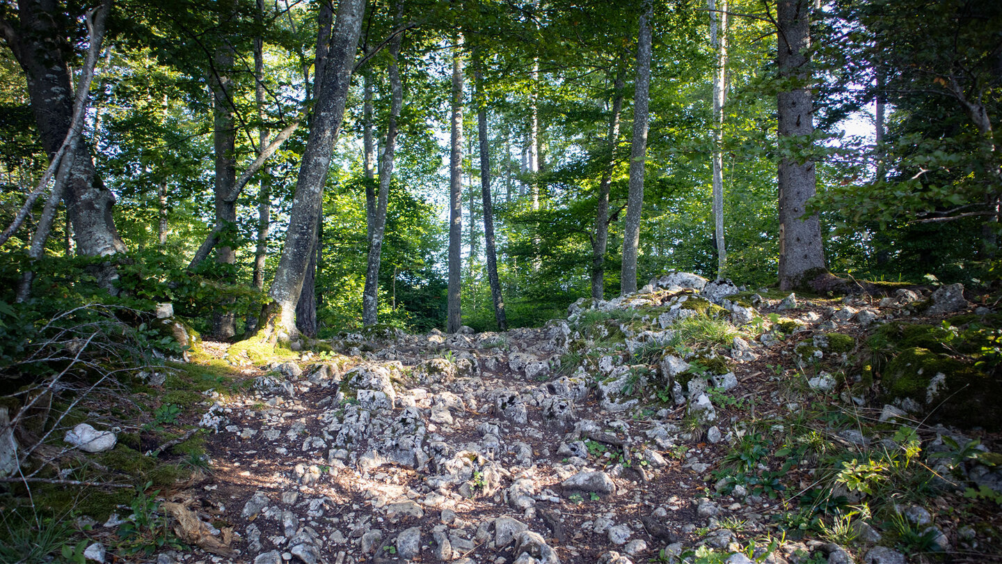 Wanderweg am Mühlefels