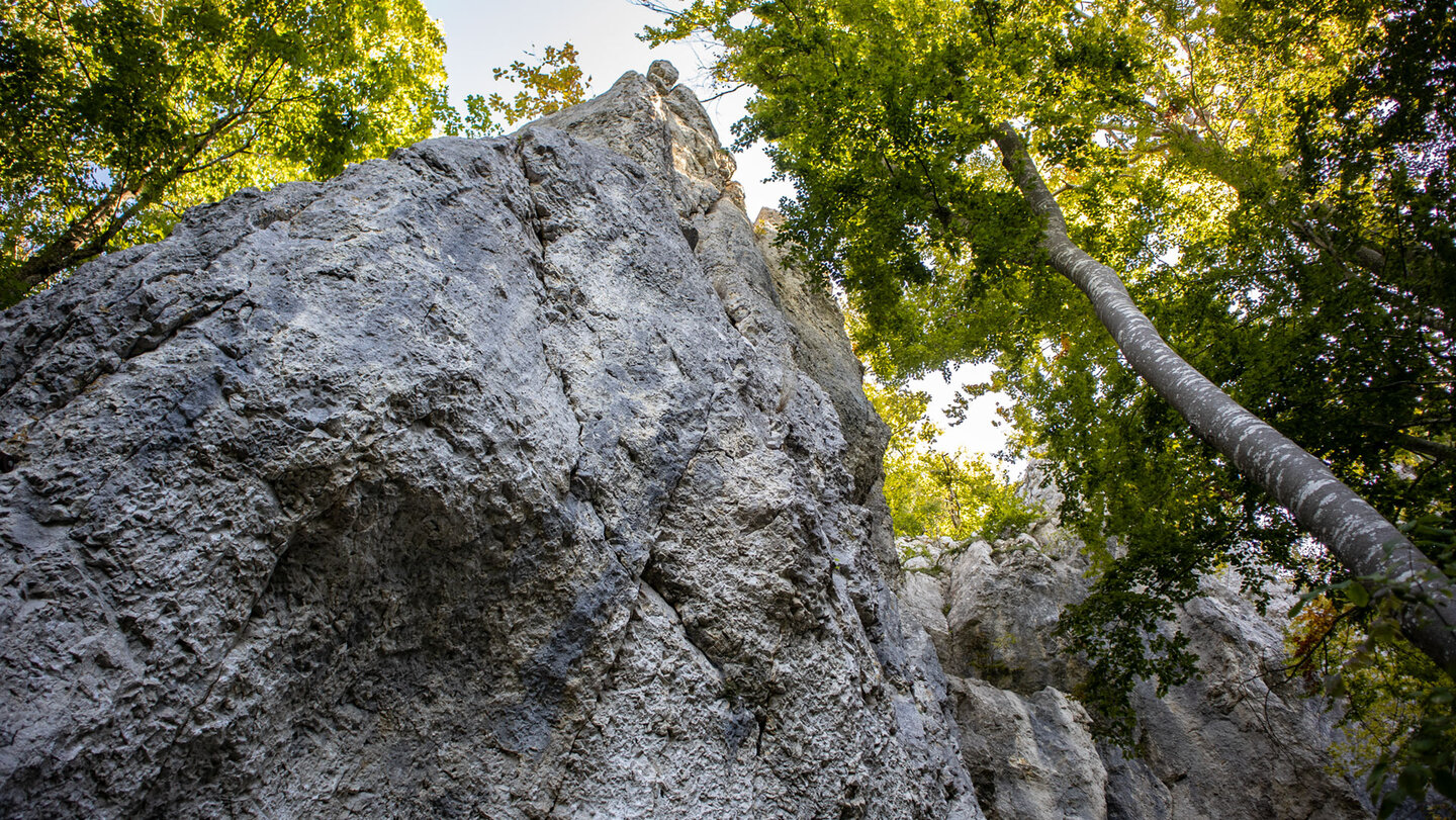 Felswand des Traumfels